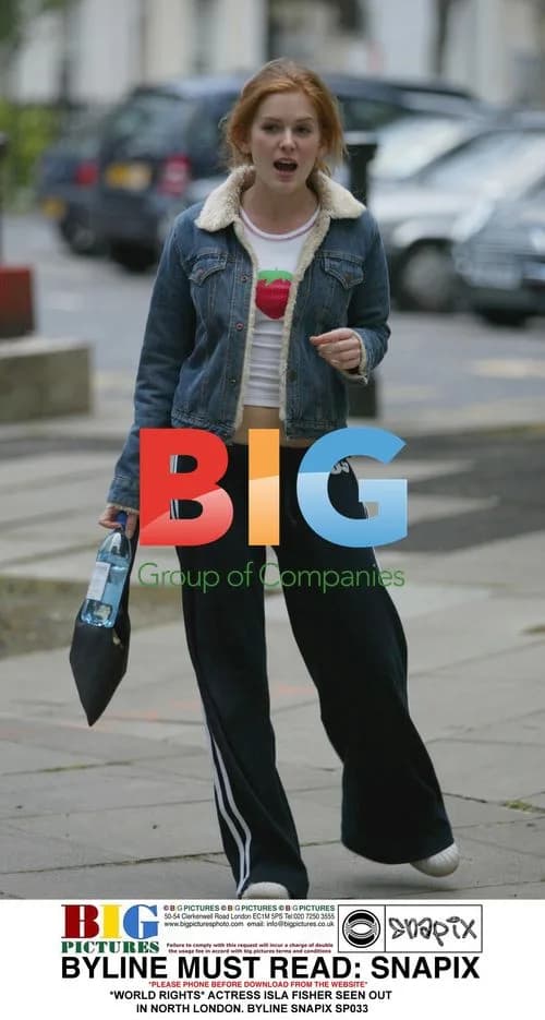 Isla Fisher Seen Out in North London