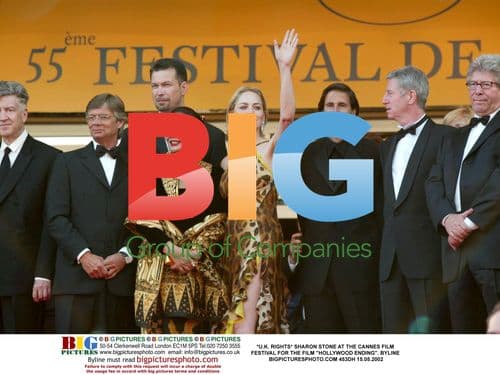 Sharon Stone at Cannes 2002