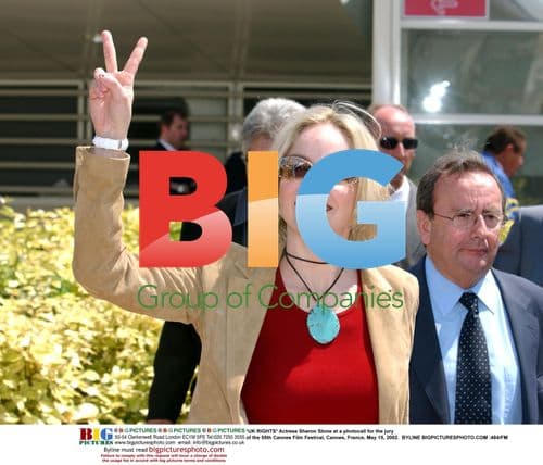 Sharon Stone at Cannes Film Festival