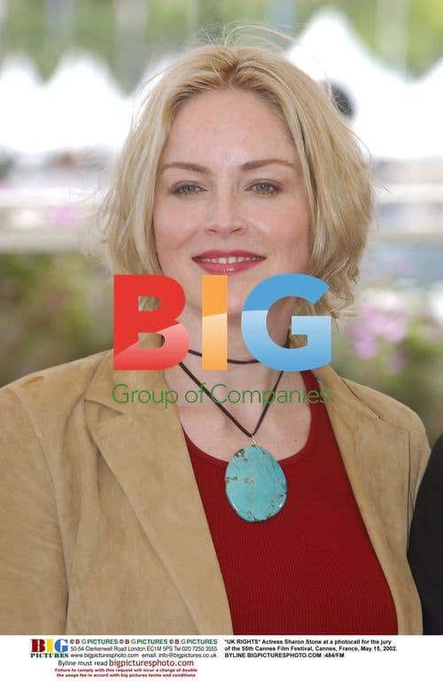 Sharon Stone at Cannes Film Festival 2002