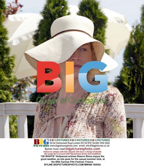 Sharon Stone at 2002 Cannes Film Festival