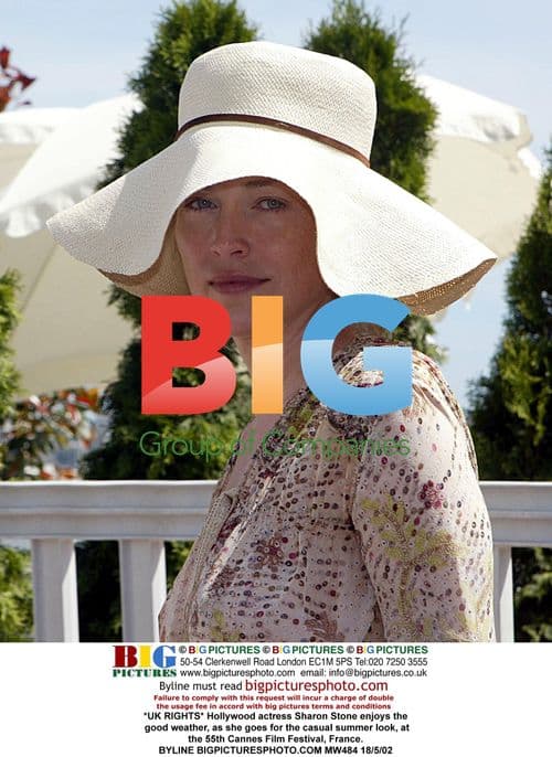 Sharon Stone at Cannes Film Festival