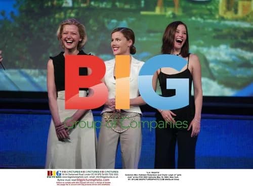 Gretchen Mol, Kathleen Robertson and Chyler Leigh at FOX 2002 Upfronts