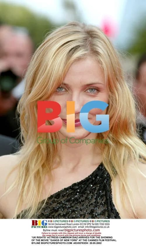 Cameron Diaz at Cannes Film Festival