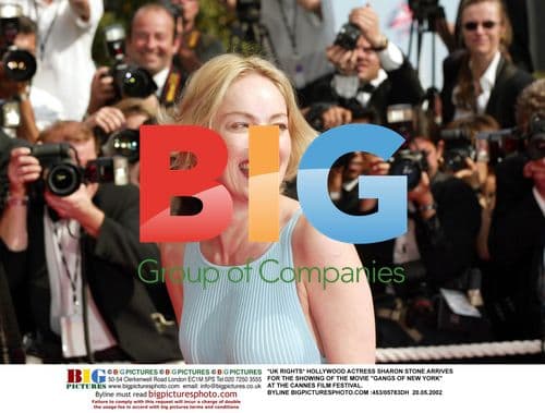 Sharon Stone at Cannes Film Festival