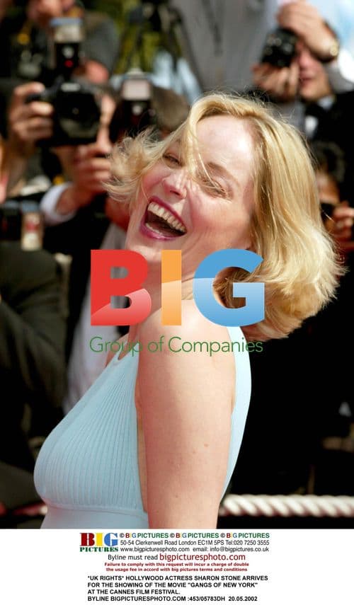 Sharon Stone at Cannes for "Gangs of New York"