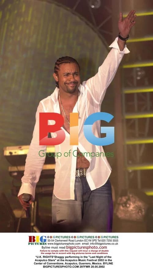 Shaggy at Acapulco Music Festival 2002