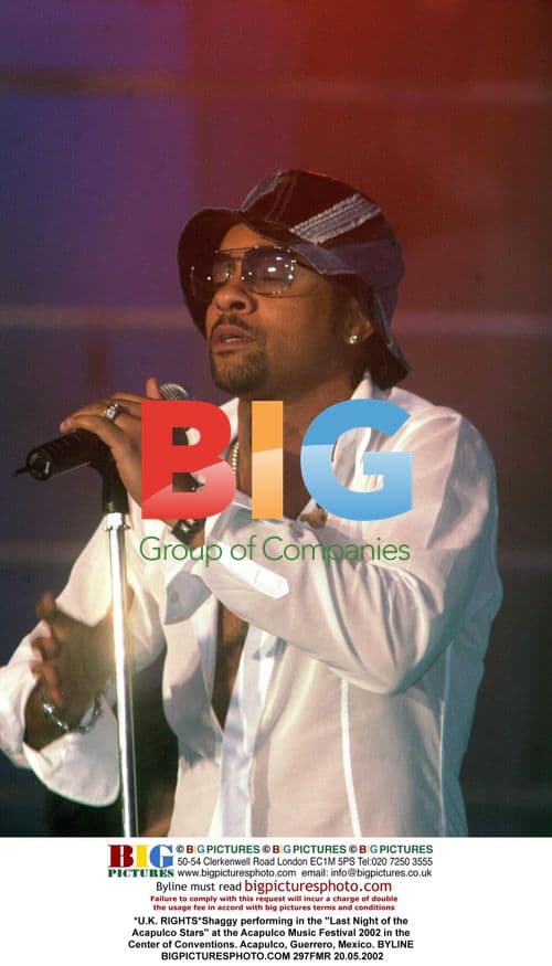 Shaggy performs at Acapulco Music Festival 2002