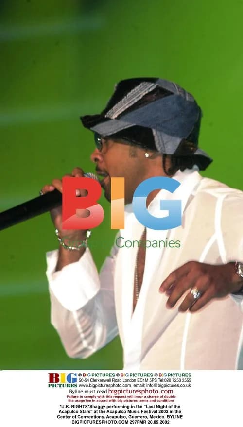 Shaggy performs at Acapulco Music Festival 2002