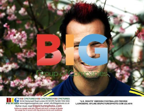 Fredrik Ljungberg Head Shot