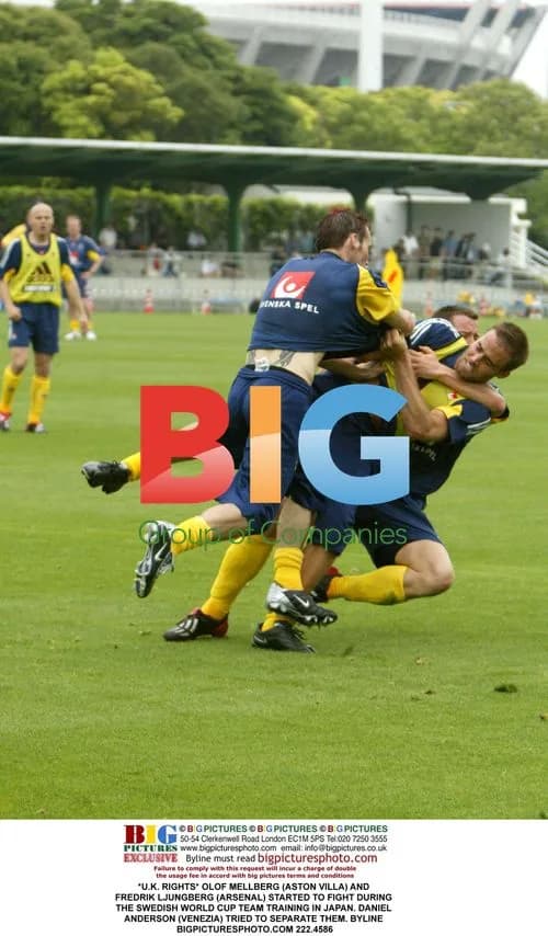 Swedish Players Scuffle at World Cup