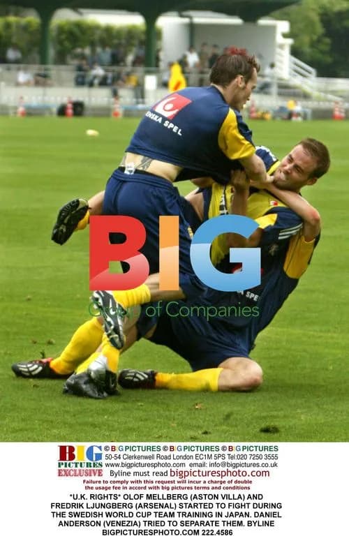 Swedish Players Fight at World Cup Training