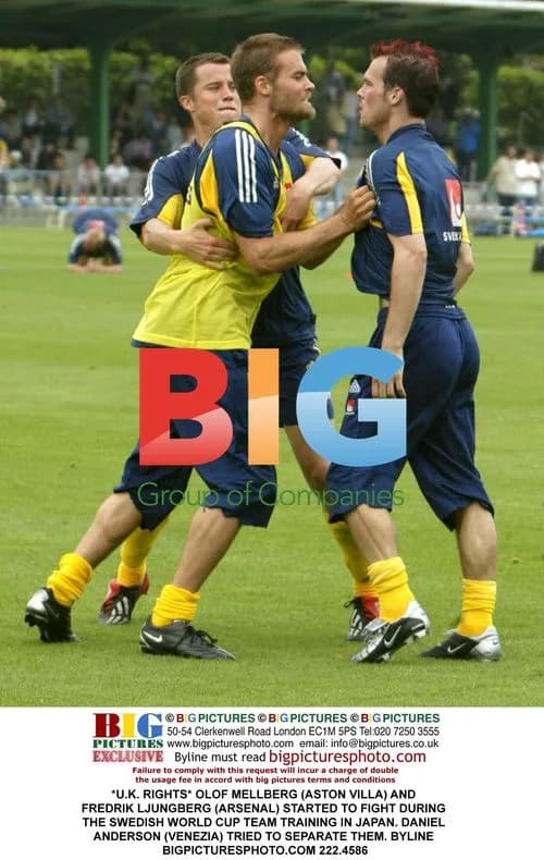 Swedish Players in Altercation