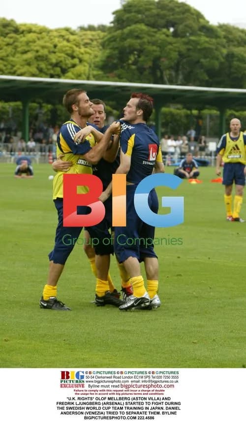 Swedish Players Fight at World Cup Training