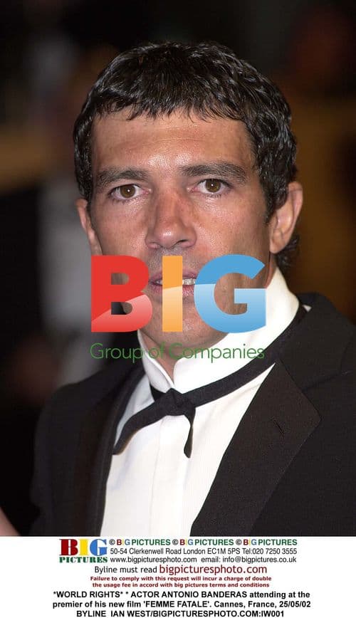 Antonio Banderas at 'Femme Fatale' Premiere