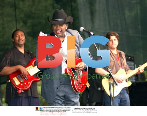 Otis Rush Backstage at Santa Cruz Blues Fest