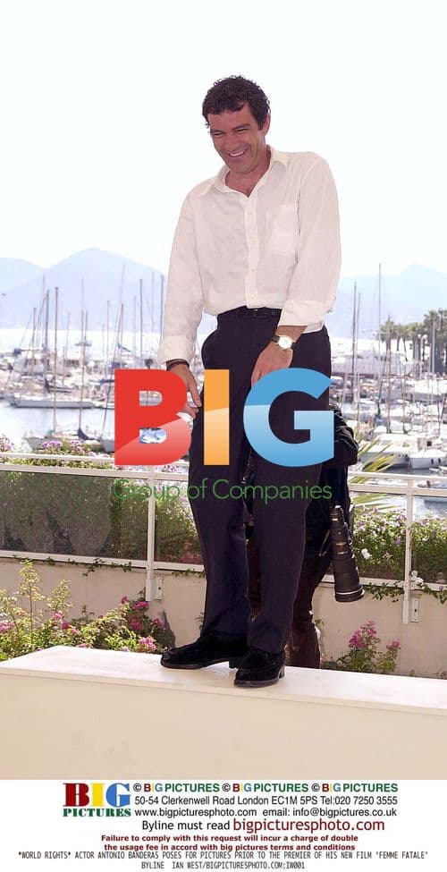 Cate Blanchett and Bradley Cooper at Film Premiere