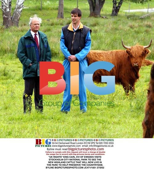 Black Panther stars at Berlin film premiere