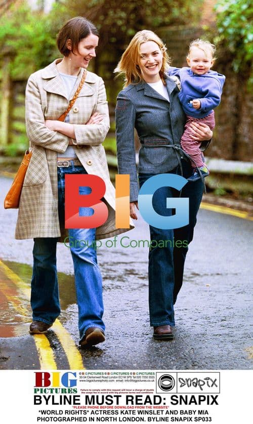 Politician shaking hands at podium