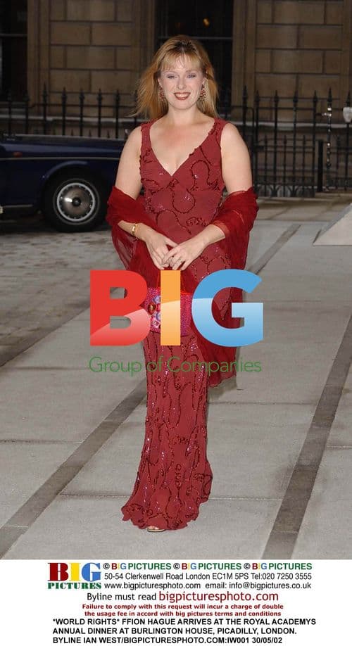 Ffion Hague at Royal Academy Dinner
