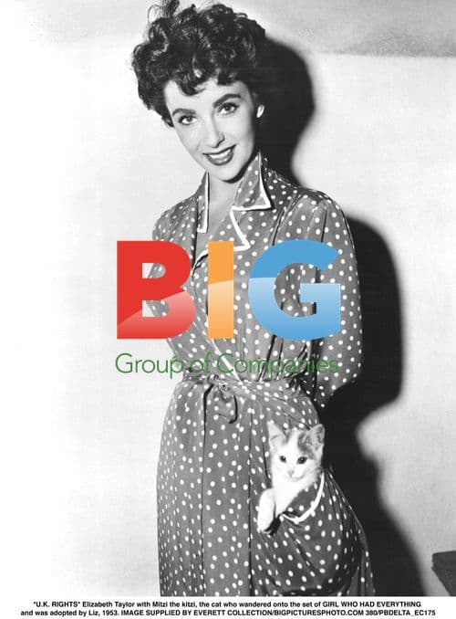 Elizabeth Taylor with Mitzi the Cat, 1953