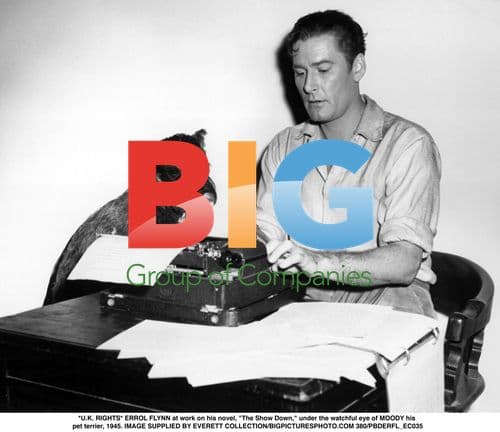 Errol Flynn at Work on Novel