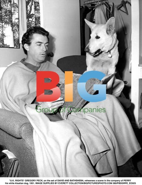 Gregory Peck on the set of DAVID AND BATHSHEBA, 1951