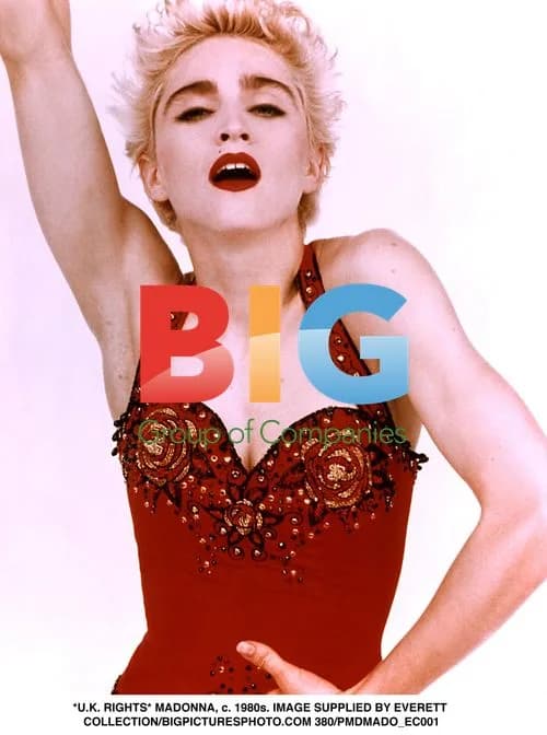 Madonna c. 1980s Portrait