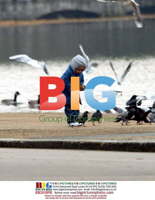 Madonna and Guy Ritchie's Son Rocco in London Park