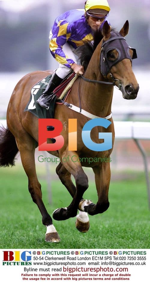 Oliver rides Fields of Omagh at Flemington