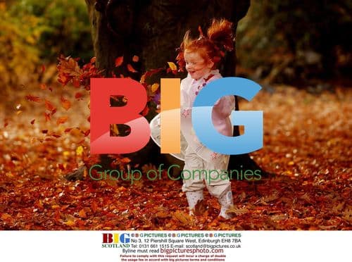 Tierney McLeod Plays in Leaves