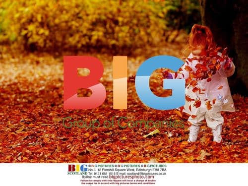 Young girl playing in leaves in Edinburgh