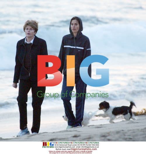 Courtney Cox and mother walk dogs