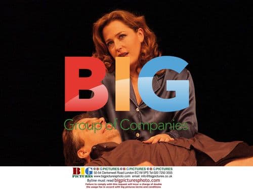 Gillian Anderson and Roger Allam at 'What the Night Is For' photocall