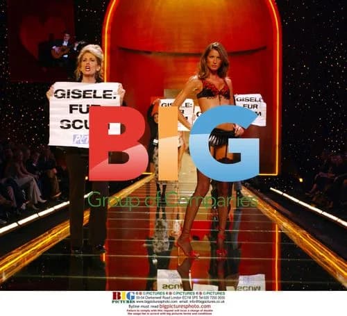 Peta protest at Victoria's Secret Fashion Show