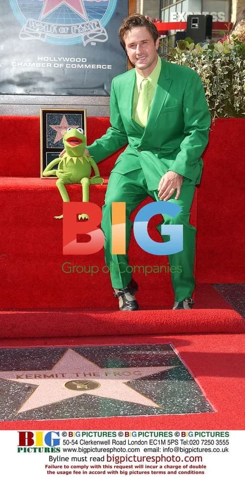 David Arquette and Kermit the Frog at Hollywood Walk of Fame