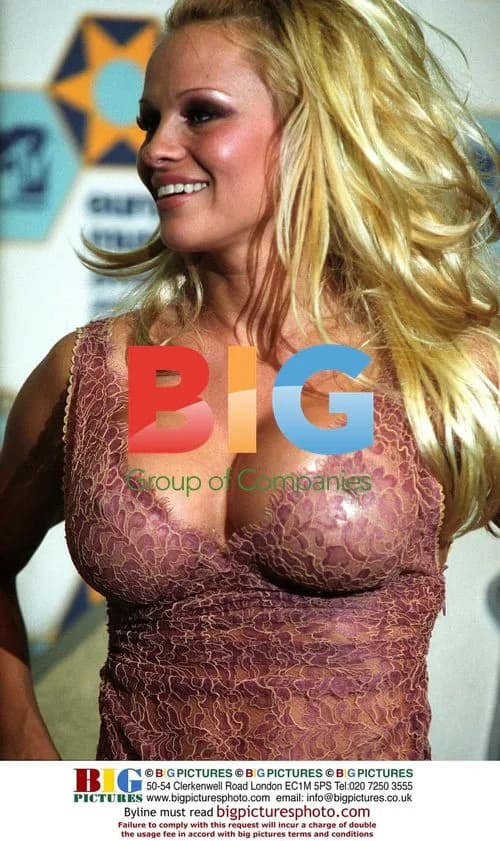 Pamela Anderson at 2002 MTV Europe Music Awards