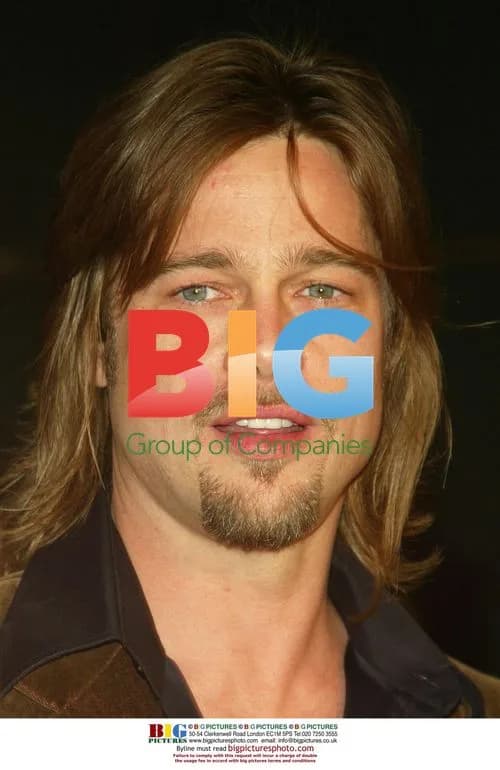 Brad Pitt at 'Solaris' Premiere