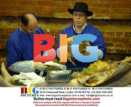 Cloverfield Bridge Unveiling