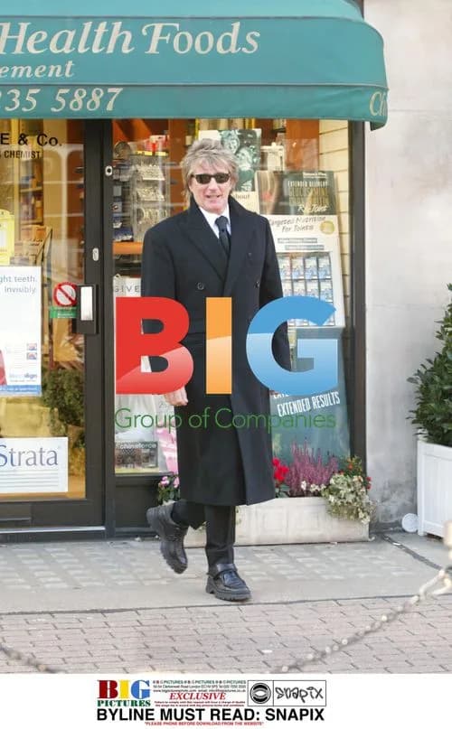 Rod Stewart and Penny Lancaster Go Shopping