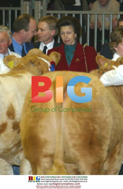 Princess Anne visits 2002 Royal Smithfield Show