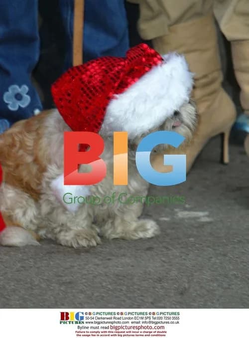 Geri Halliwell and Popstars Girls Visit Cancer Patients