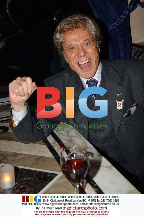 Sarah Jones at New York Film Festival