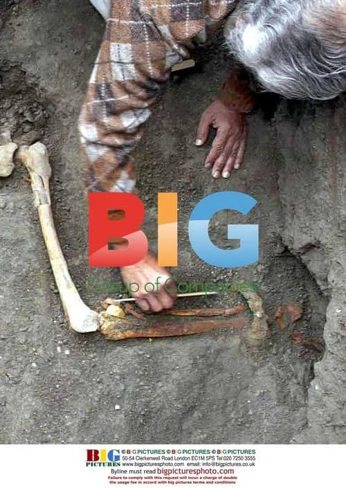Slaves' Skeletons Discovered in Pompeii