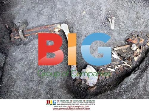 Skeletons of Two Slaves Discovered in Pompeii