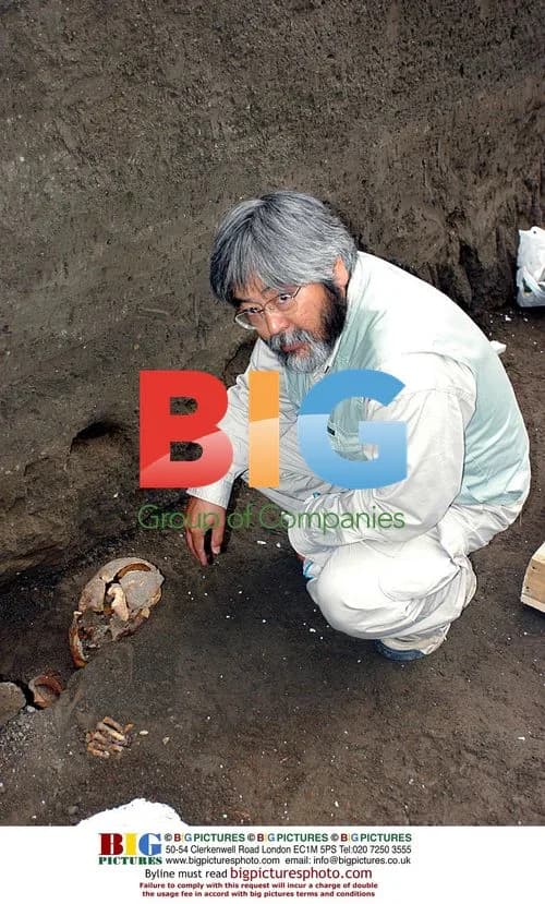 Skeletons of Two Slaves Discovered in Pompeii