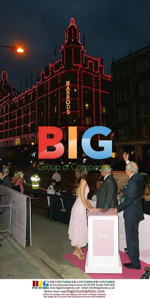 Liz Hurley Illuminates Harrods for Breast Cancer
