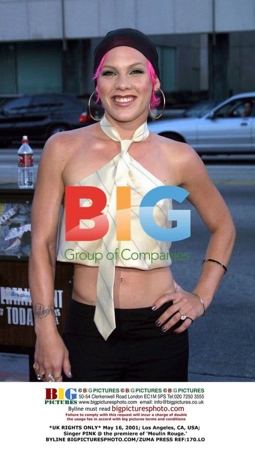 PINK @ 'Moulin Rouge' Premiere