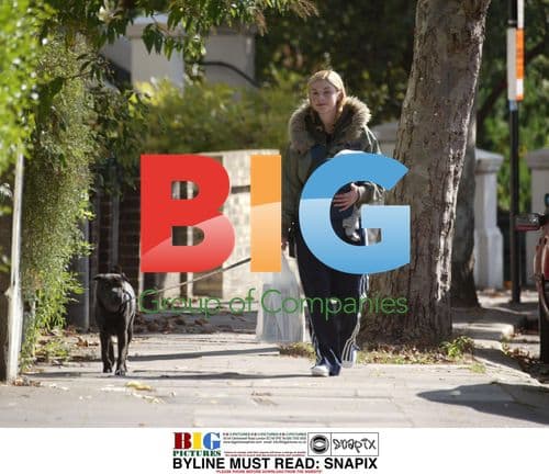 TV presenter Gail Hipgrave and baby Honey out with dog