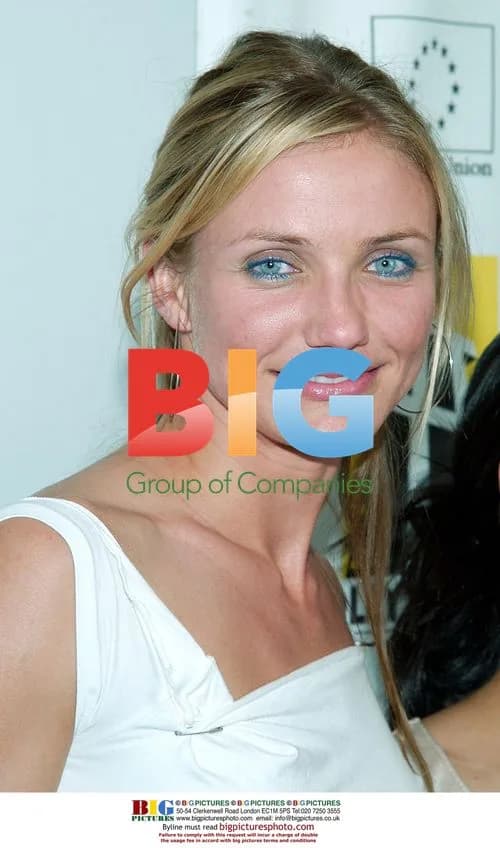 Cameron Diaz at Hollywood Movie Awards